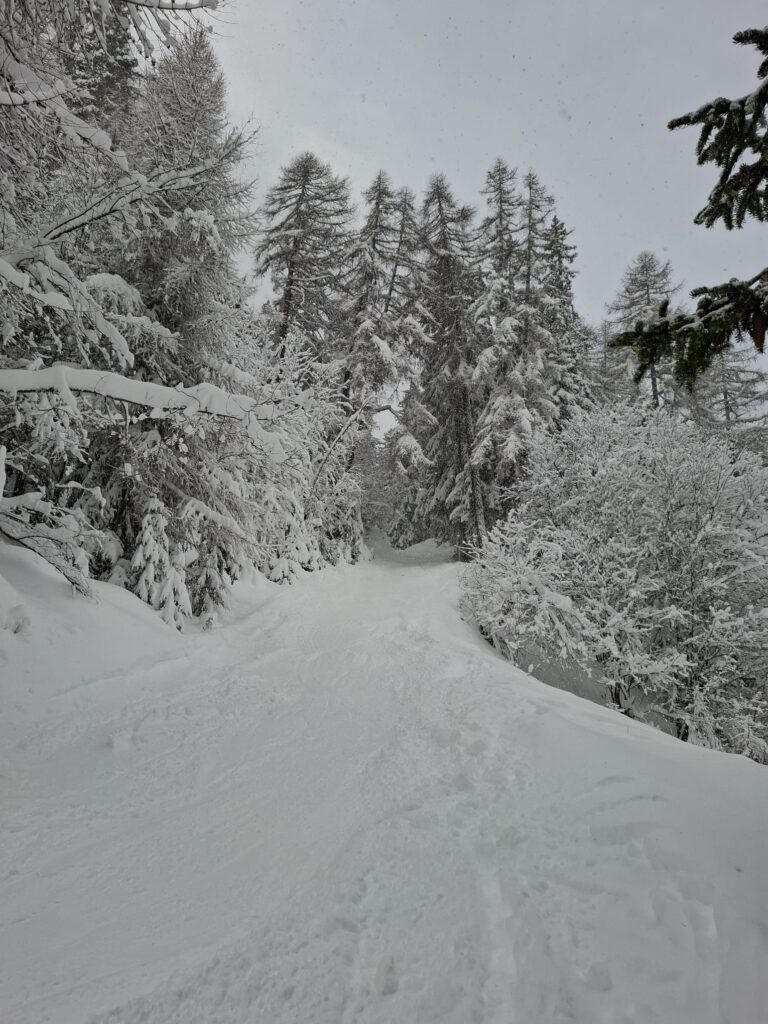 witte wereld